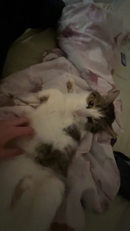 TikTok video thumbnail by veerahuttu