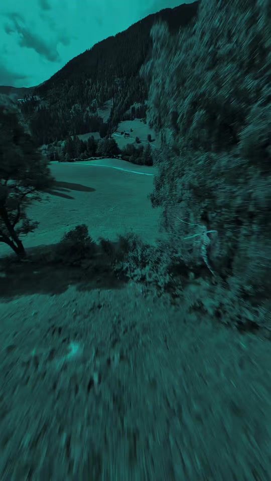 TikTok video thumbnail by nika_vibes3