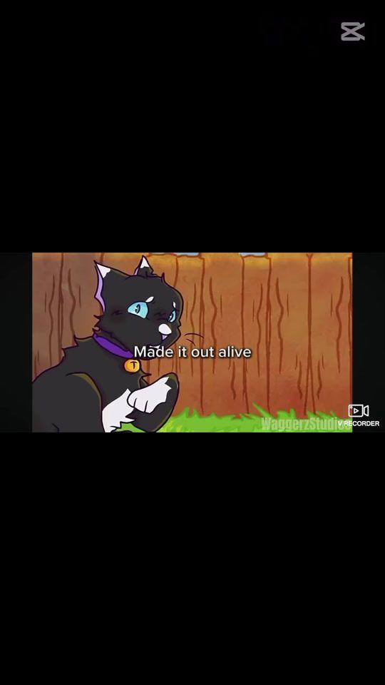 TikTok video thumbnail by _.shadow_cloud._