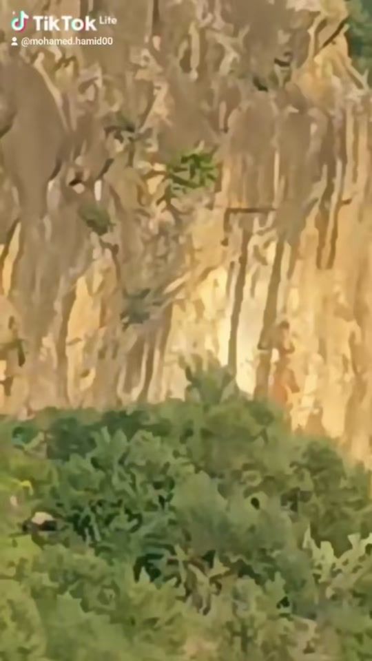 TikTok video thumbnail by mercure_noir