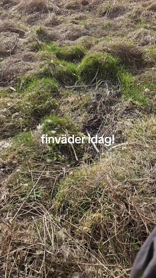 TikTok video thumbnail by robdah