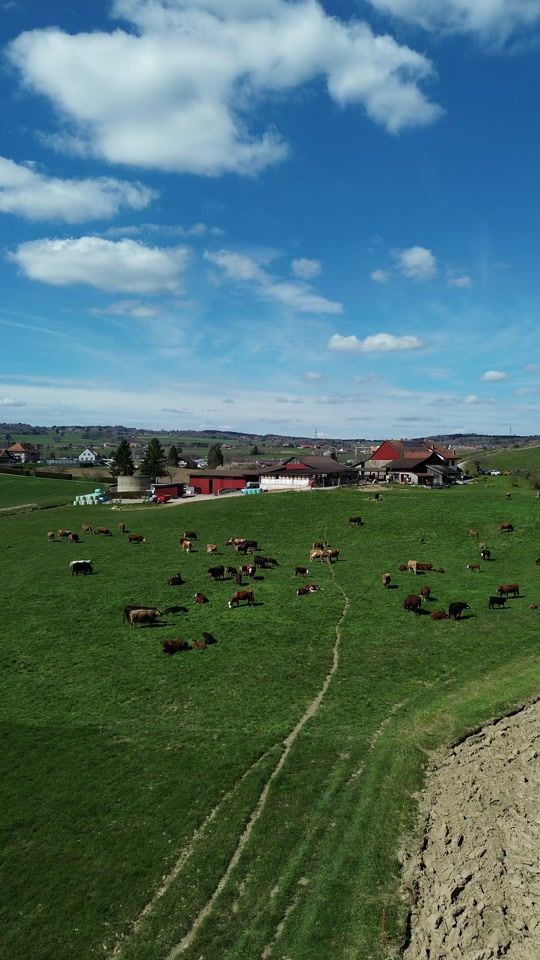TikTok video thumbnail by _lncbz.ch_