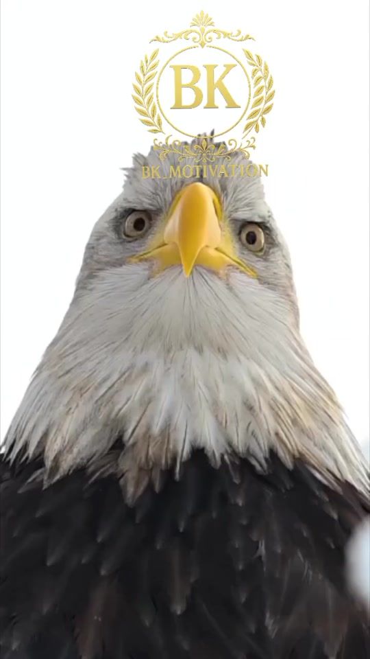 TikTok video thumbnail by bk.motivation4