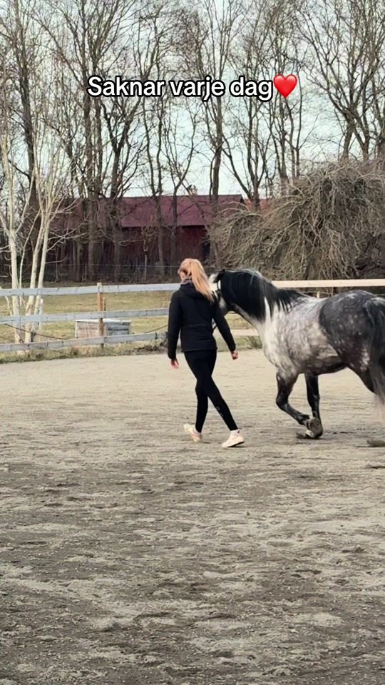 TikTok video thumbnail by saraahast