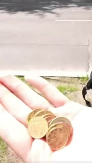 TikTok video thumbnail by westezuu