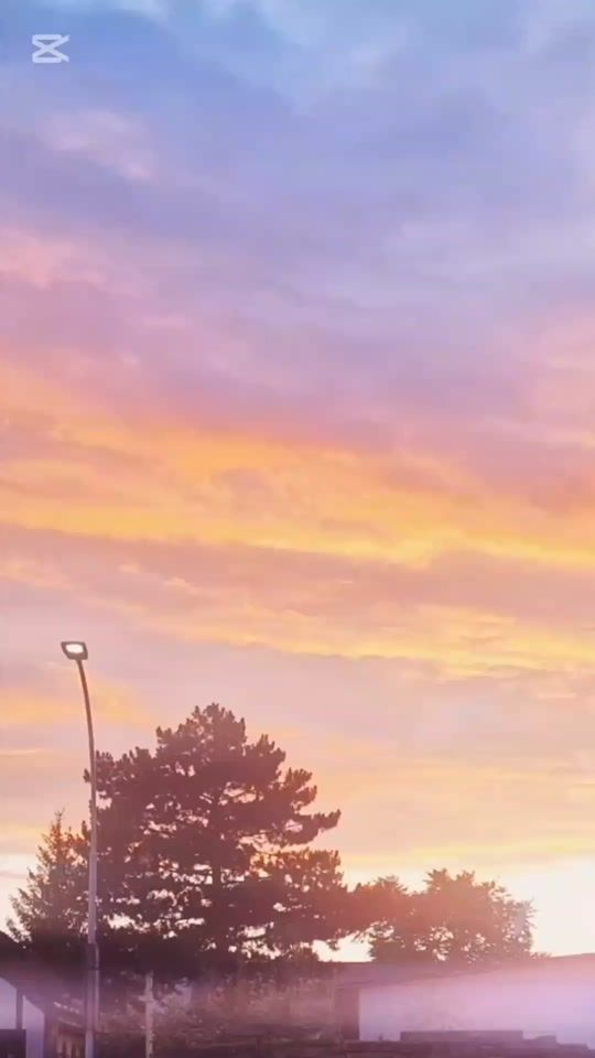 TikTok video thumbnail by papalea2404