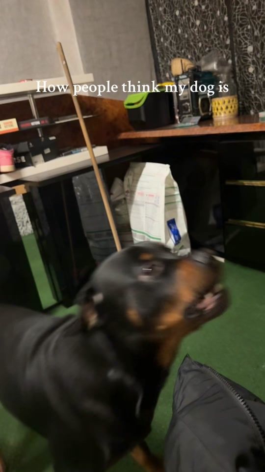 TikTok video thumbnail by celineabrantes