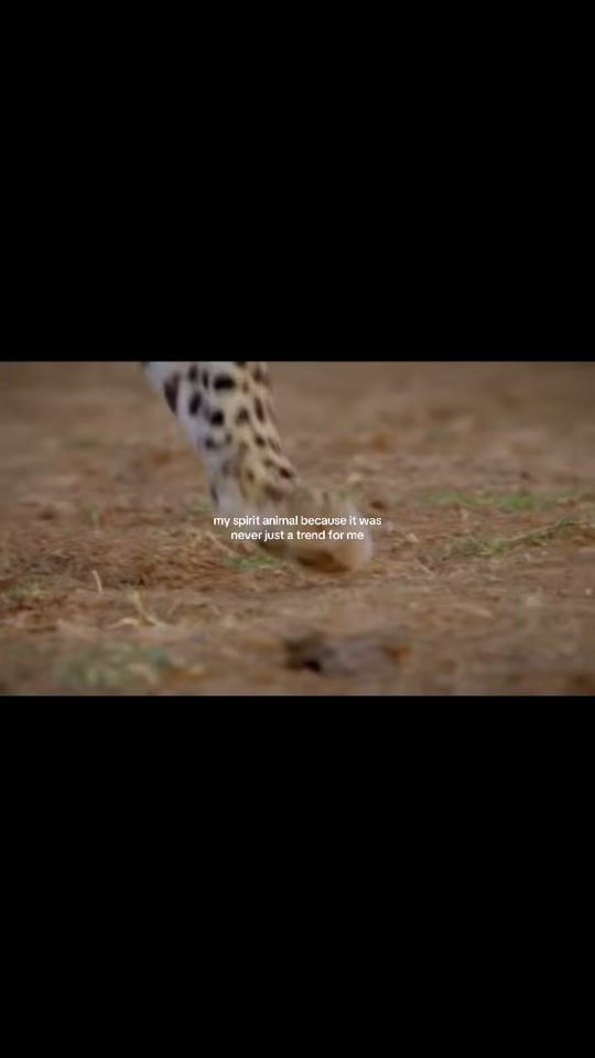 TikTok video thumbnail by future.birkin.mom
