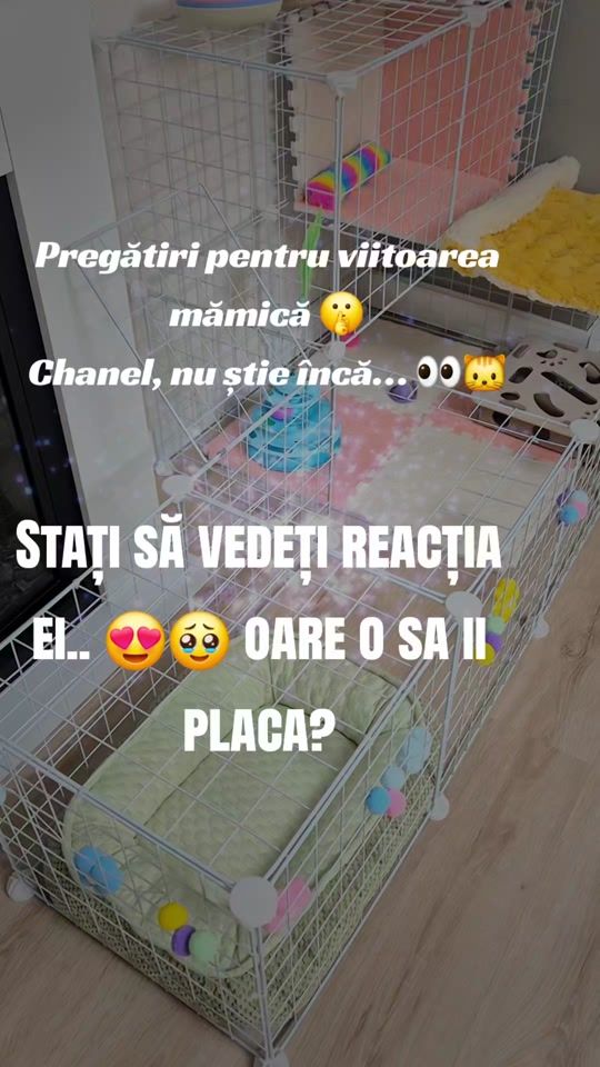 TikTok video thumbnail by promogoodvibes