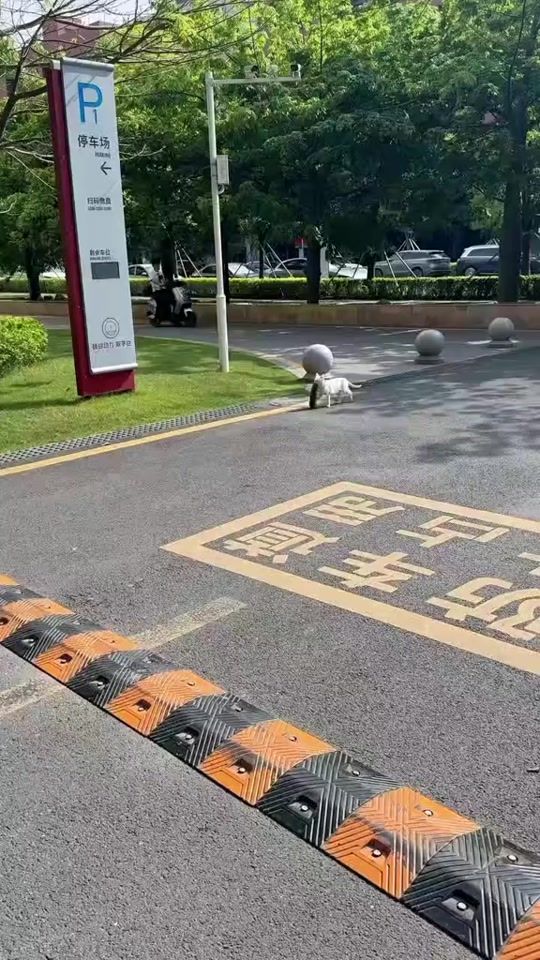 TikTok video thumbnail by jesusparron152