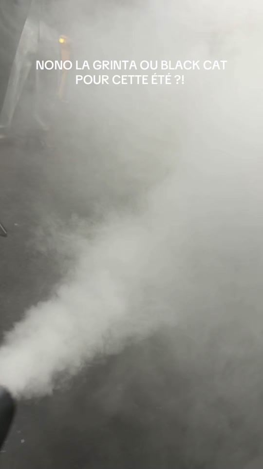 TikTok video thumbnail by nonolagriint