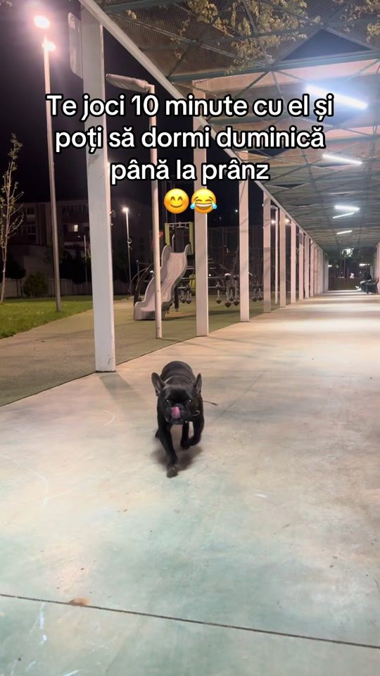 TikTok video thumbnail by cosmin.dumitrache7