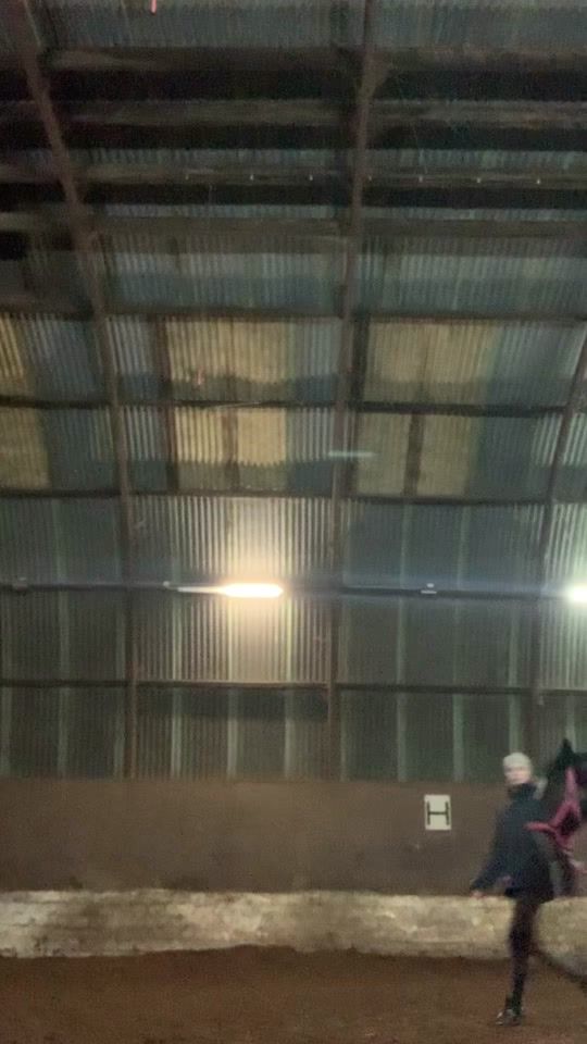 TikTok video thumbnail by calimara.p0ny
