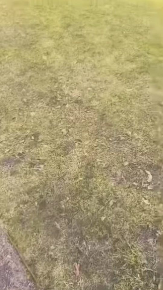 TikTok video thumbnail by swedishhomee