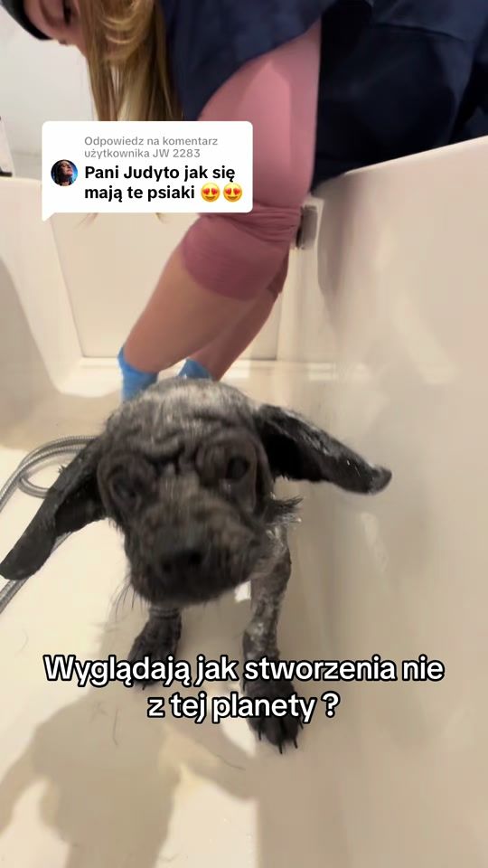 TikTok video thumbnail by fundacjajudyta