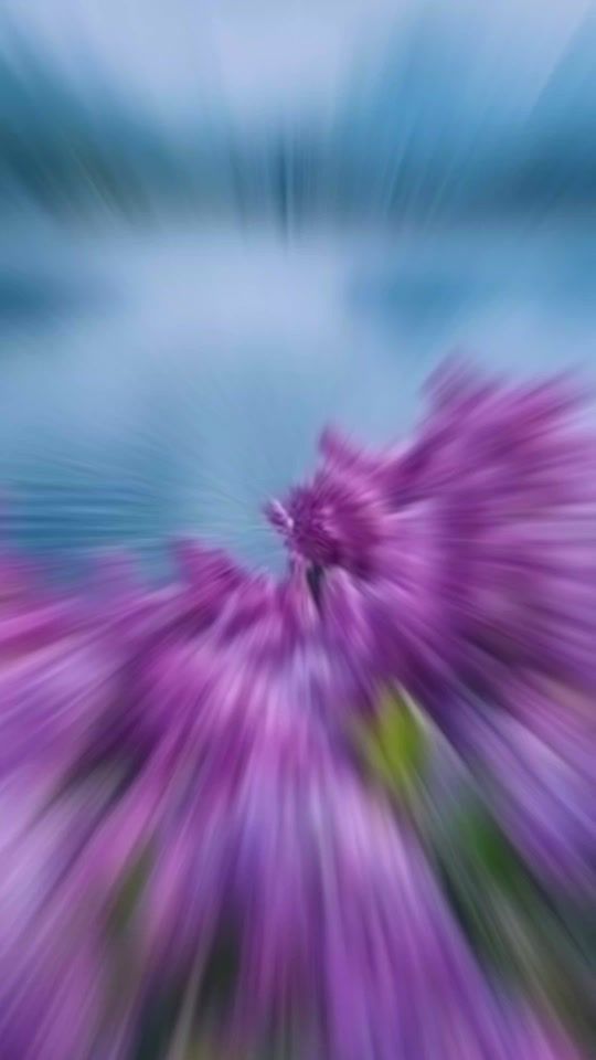 TikTok video thumbnail by user2348800199814
