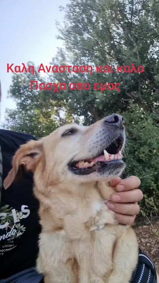TikTok video thumbnail by labroslag13