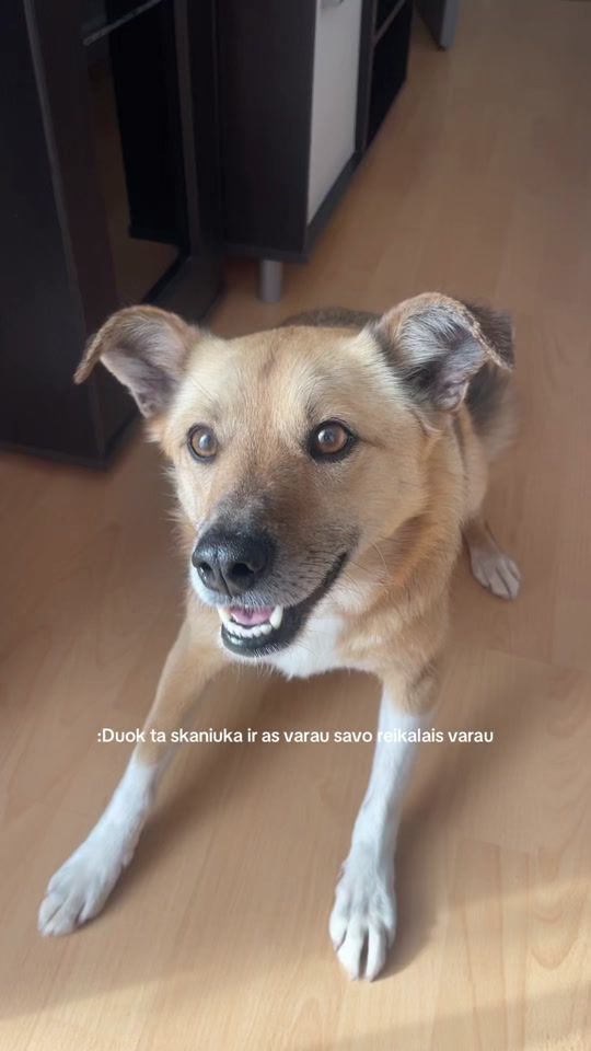 TikTok video thumbnail by ne.vasaris