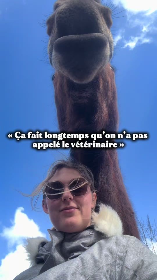 TikTok video thumbnail by ameequestre
