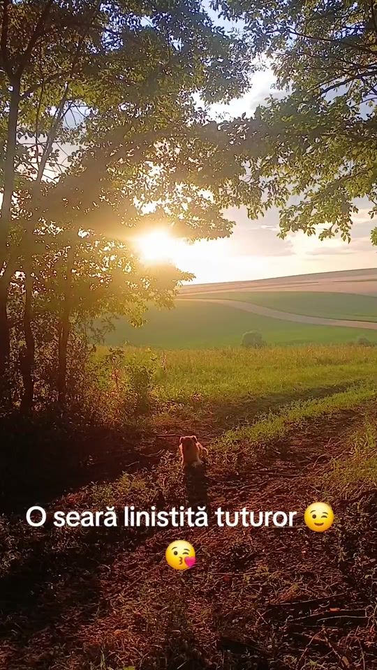 TikTok video thumbnail by vasilica.bors7