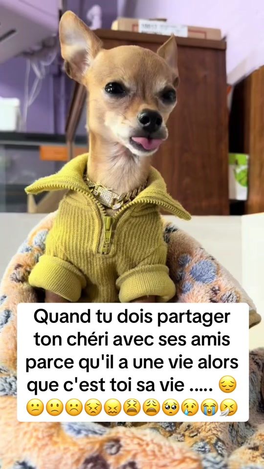 TikTok video thumbnail by splitzzz__