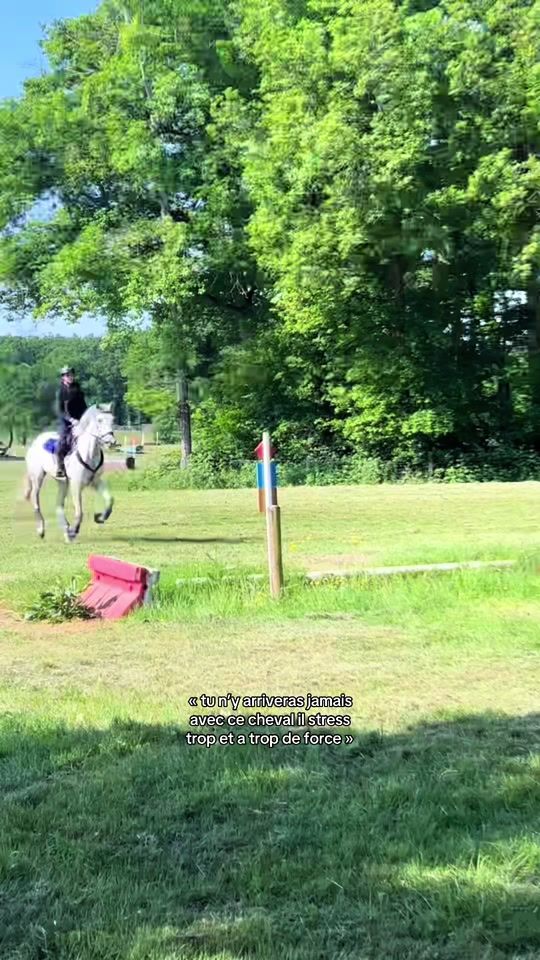 TikTok video thumbnail by louanne.rss