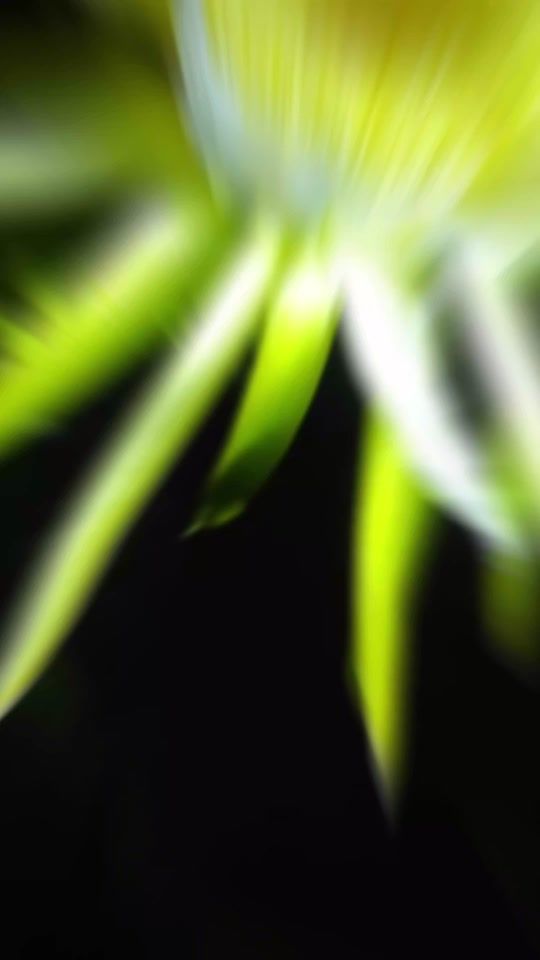 TikTok video thumbnail by 21doblev21