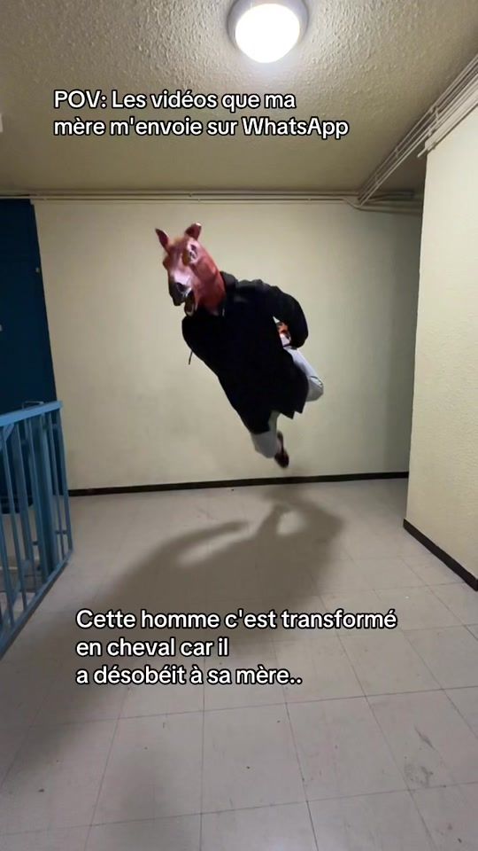 TikTok video thumbnail by lefennec2.0