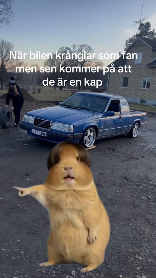TikTok video thumbnail by antonnr09