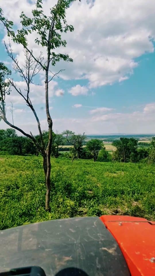 TikTok video thumbnail by pezi931
