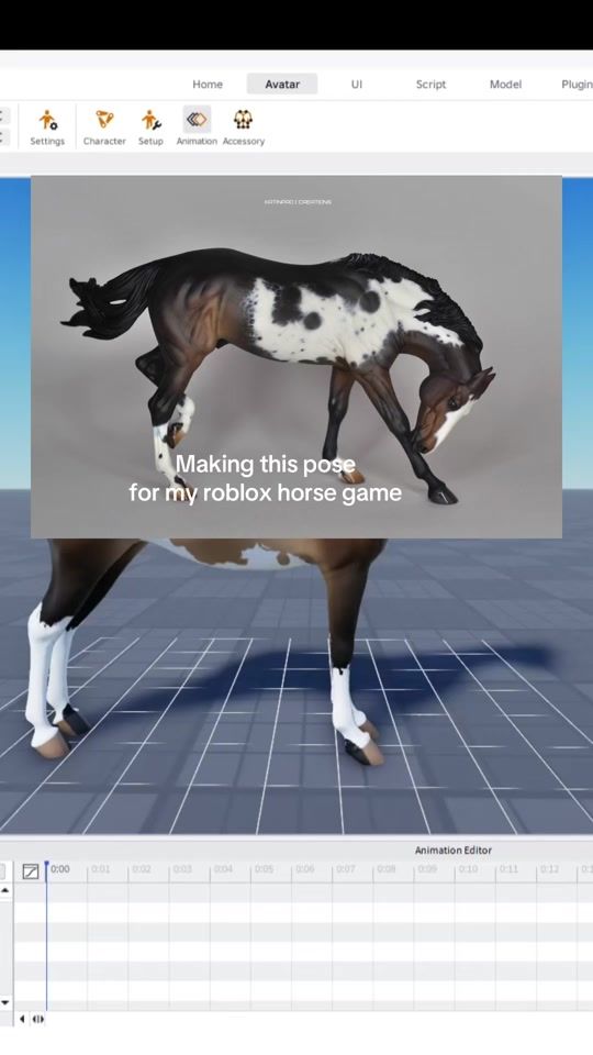 TikTok video thumbnail by equistride_