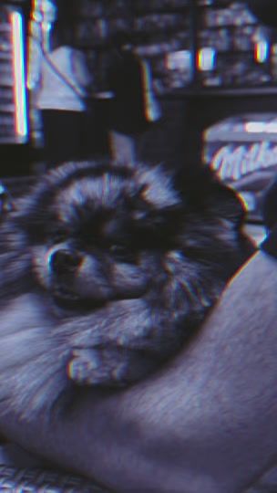 TikTok video thumbnail by emilowa_