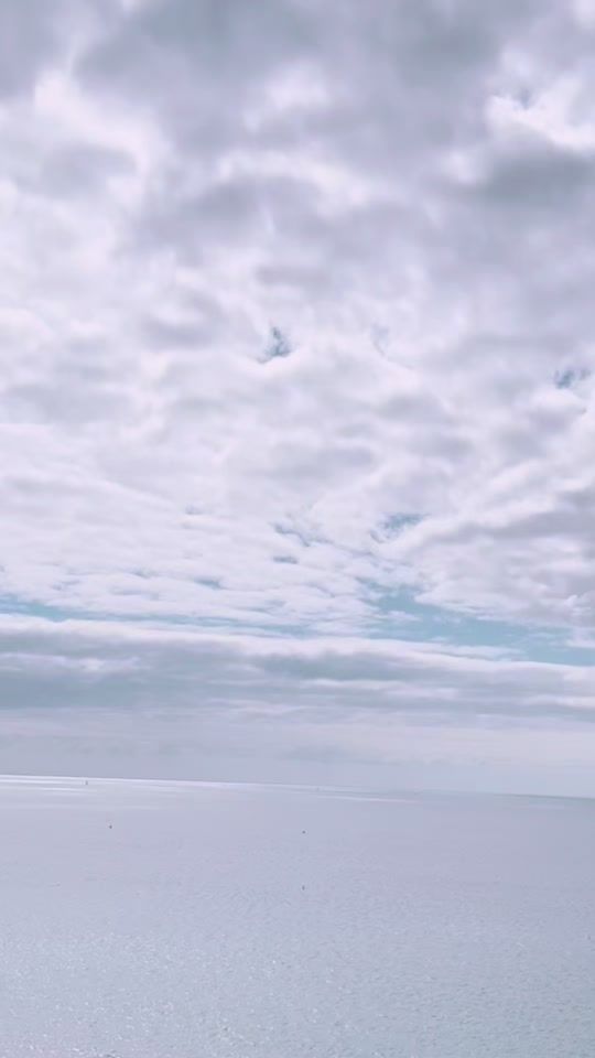 TikTok video thumbnail by sibling.loss8
