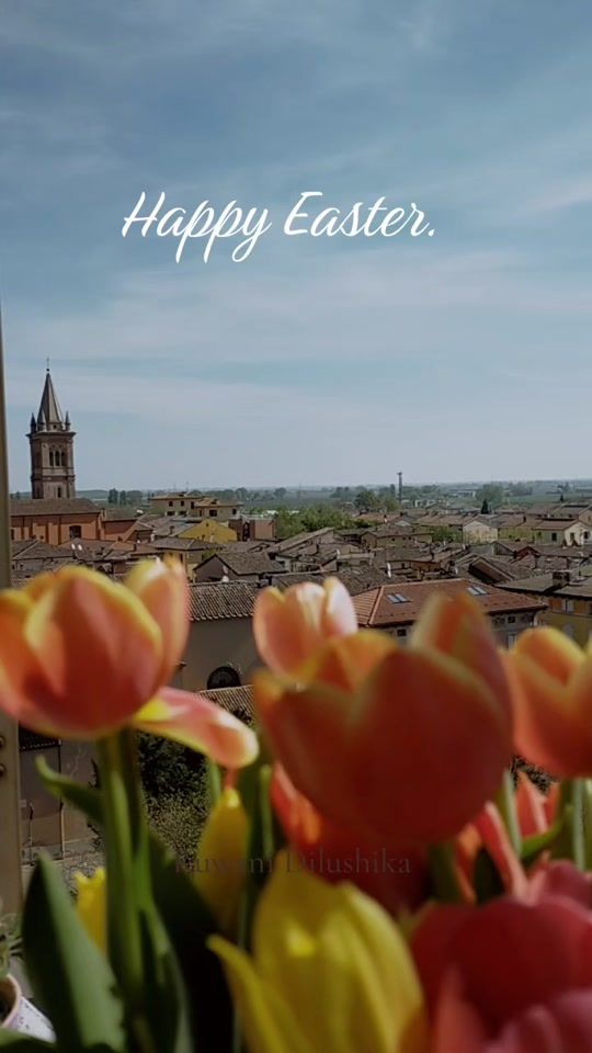 TikTok video thumbnail by dilulk