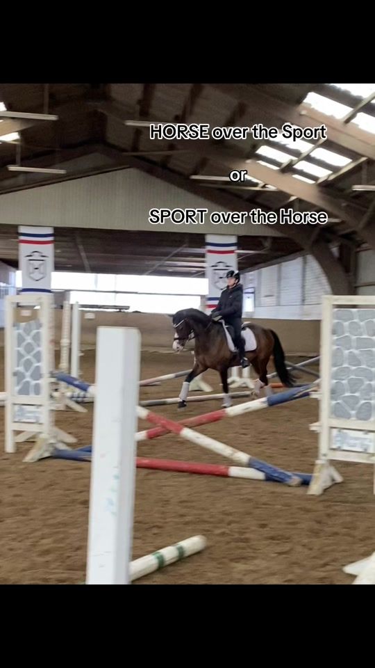 TikTok video thumbnail by suri_sophie_schroeder