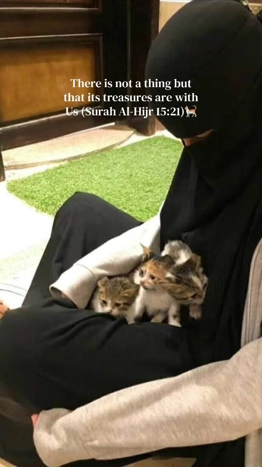 TikTok video thumbnail by niqaaaab
