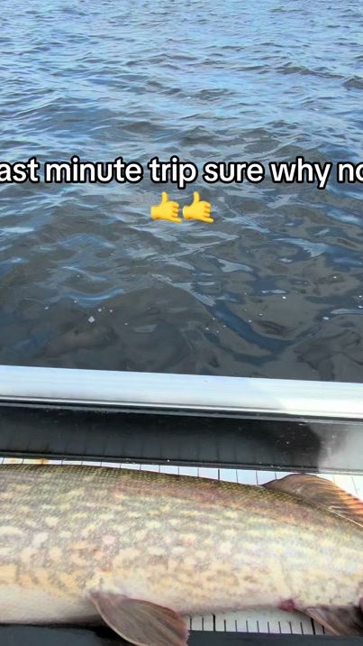 TikTok video thumbnail by onlyfins_1