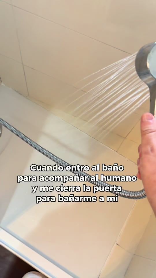 TikTok video thumbnail by javi.escu