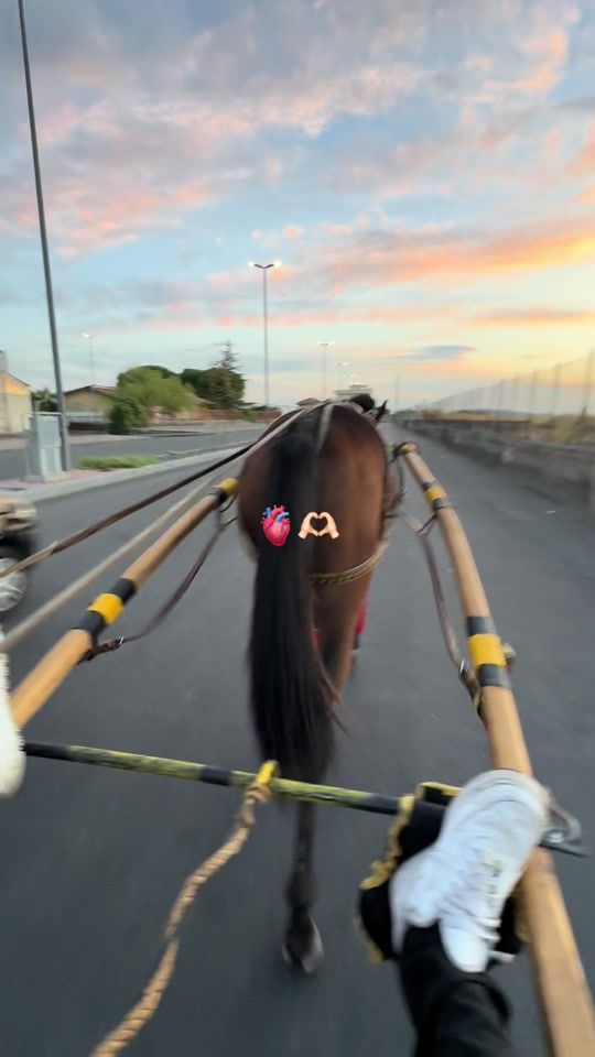 TikTok video thumbnail by videostati380