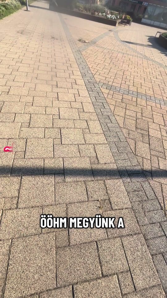 TikTok video thumbnail by dienessfanni