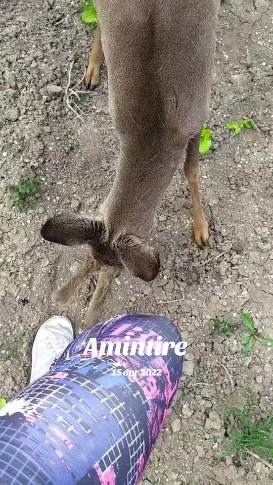 TikTok video thumbnail by adina89xap