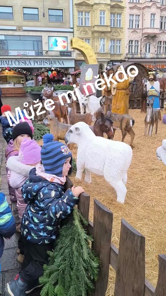 TikTok video thumbnail by jan.kincl