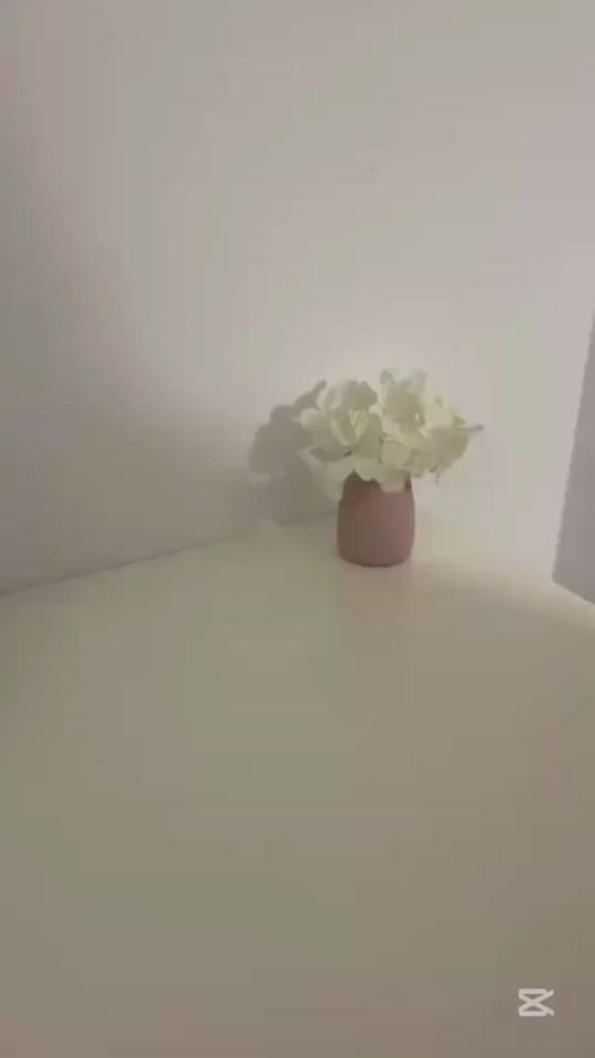 TikTok video thumbnail by veranito.random