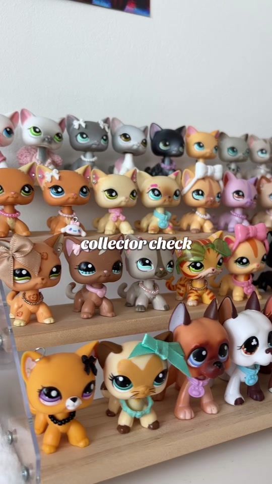 TikTok video thumbnail by vaniapetshops