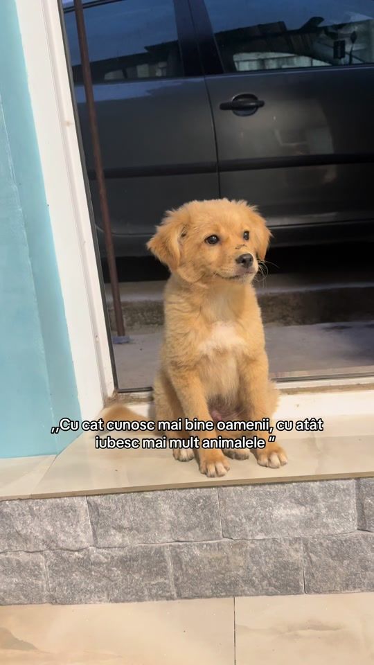 TikTok video thumbnail by _m4rii4a_
