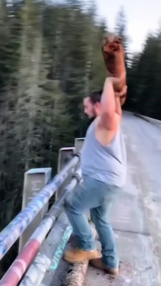 TikTok video thumbnail by johannesautio
