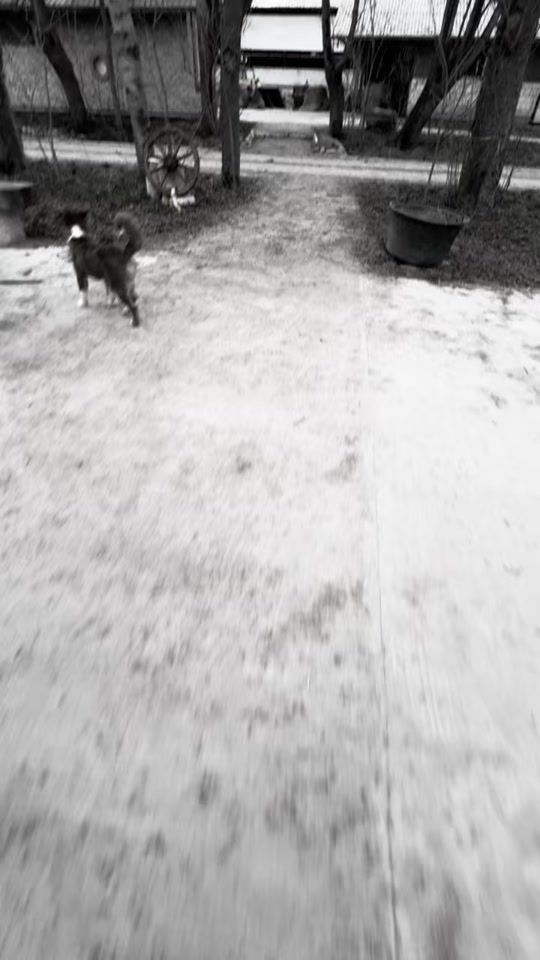 TikTok video thumbnail by gp.equestrainstables