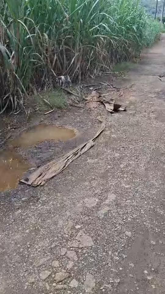 TikTok video thumbnail by indiesworld