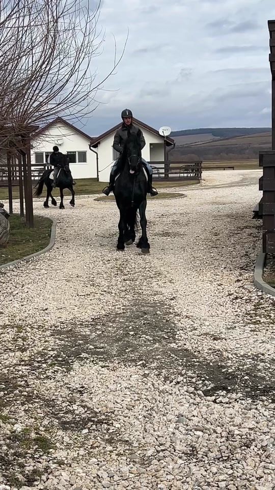 TikTok video thumbnail by cai.brasov