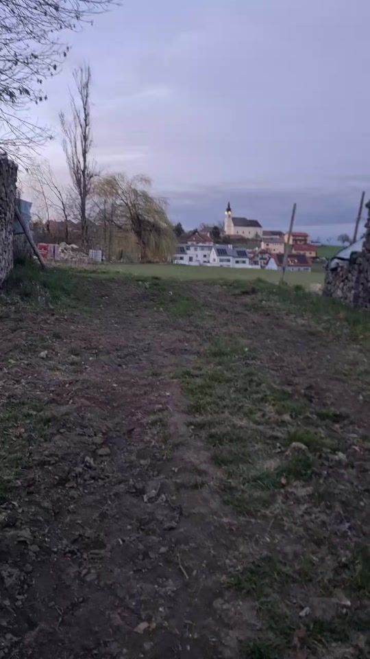 TikTok video thumbnail by __wildboar_